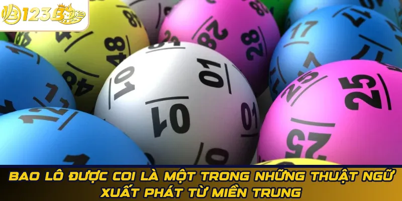 Bao lô được coi là một trong những thuật ngữ xuất phát từ miền Trung