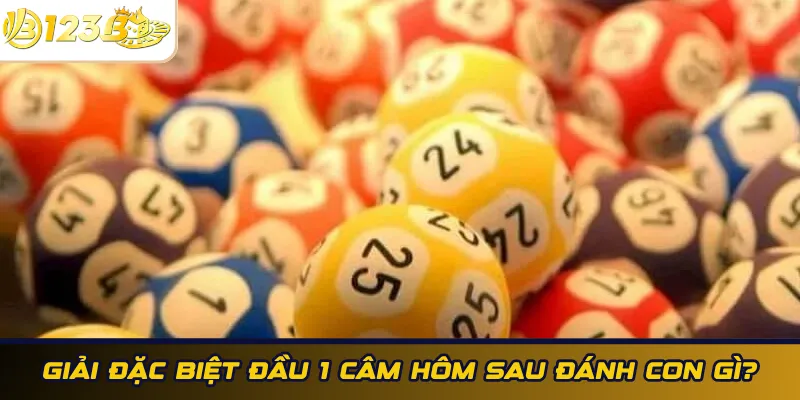 Giải đặc biệt đầu 1 câm hôm sau đánh con gì?