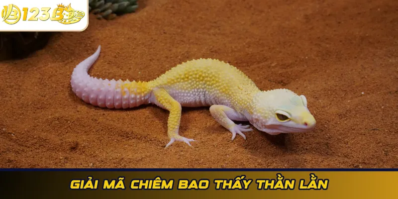 Giải mã chiêm bao thấy thằn lằn