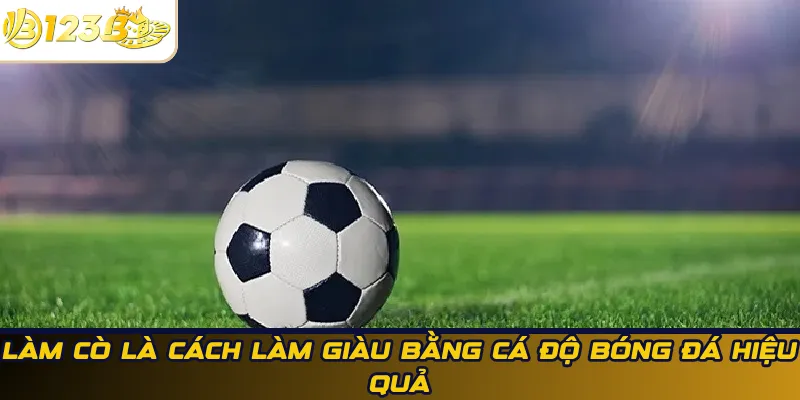 Làm cò là cách làm giàu bằng cá độ bóng đá hiệu quả