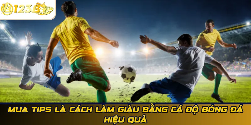 Mua tips là cách làm giàu bằng cá độ bóng đá hiệu quả