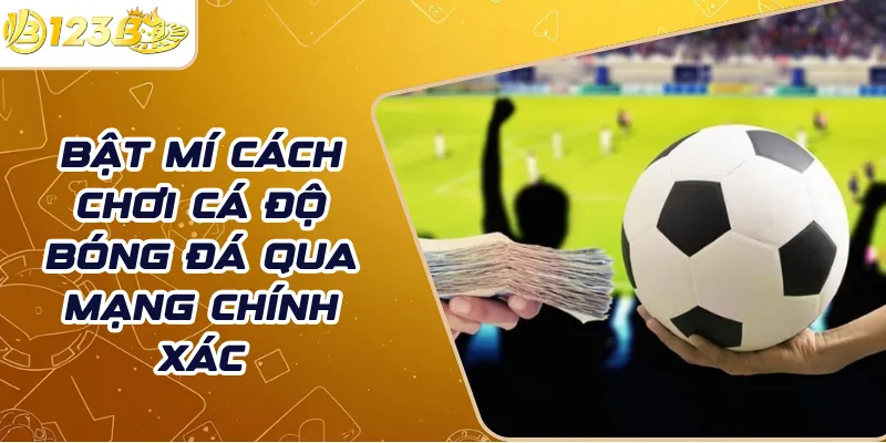 Bật mí cách chơi cá độ bóng đá qua mạng chính xác