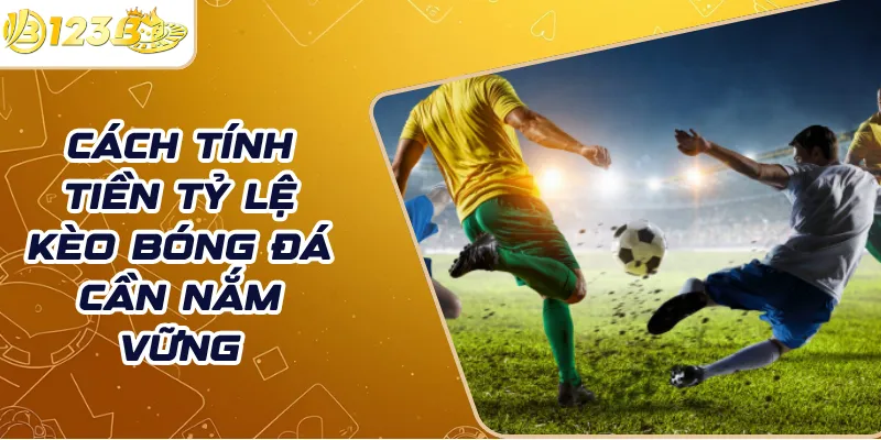 Cách tính tiền tỷ lệ kèo bóng đá cần nắm vững