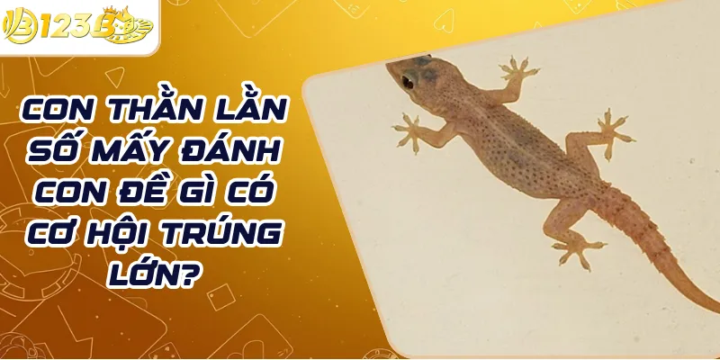 Con thằn lằn số mấy đánh con đề gì có cơ hội trúng lớn?
